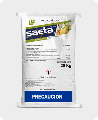 Producto